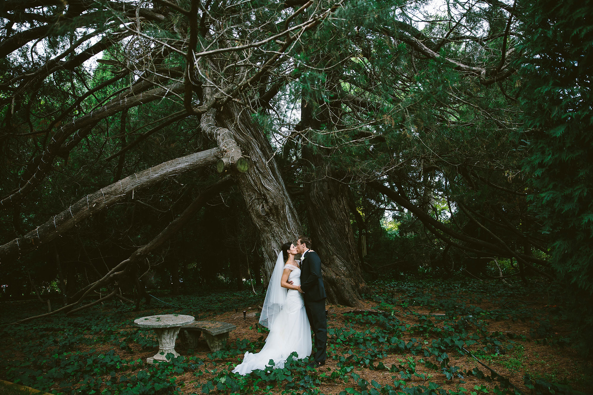 jaspers berry wedding with bride & groom under tree
