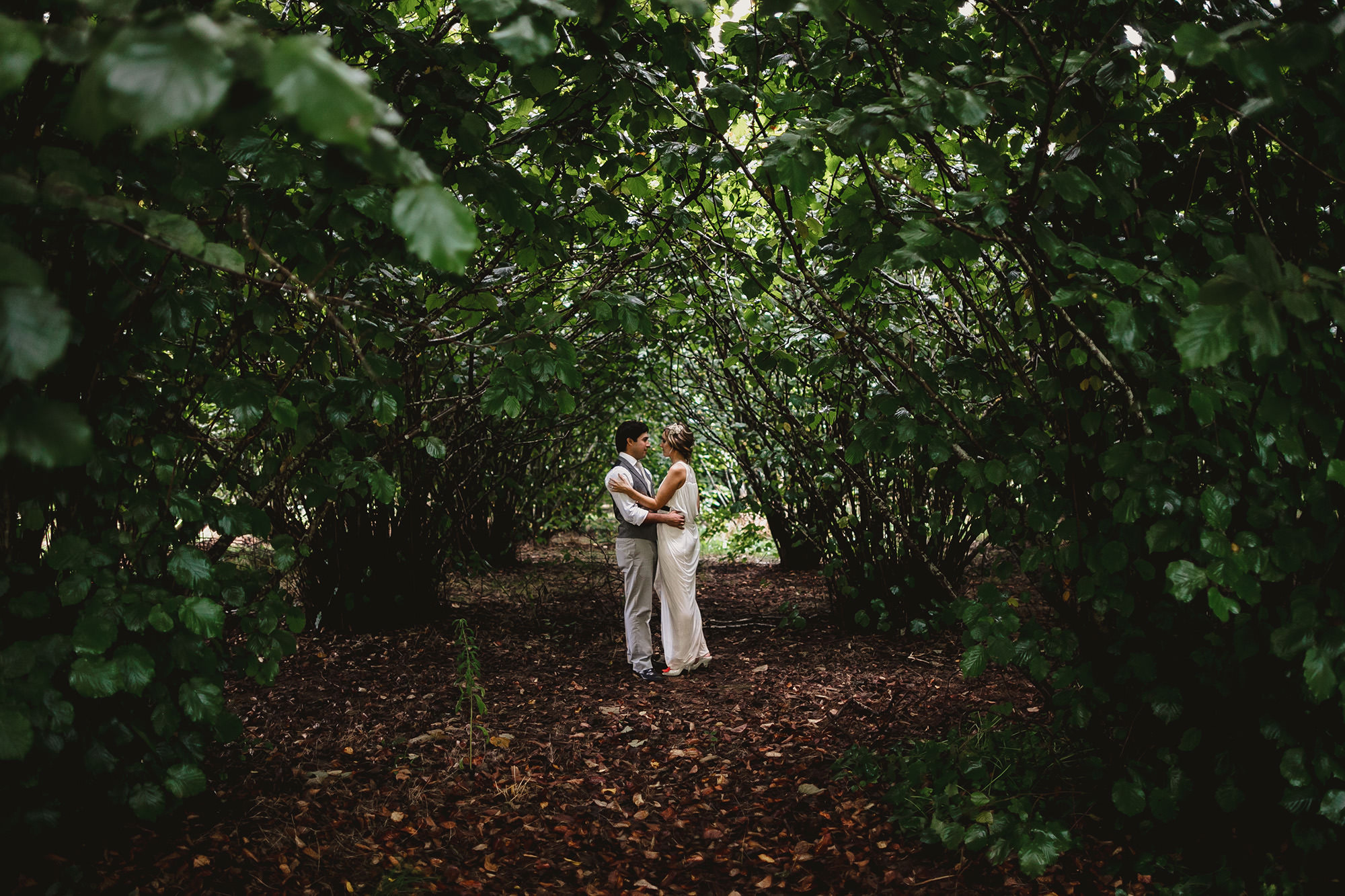 montrose berry farm wedding