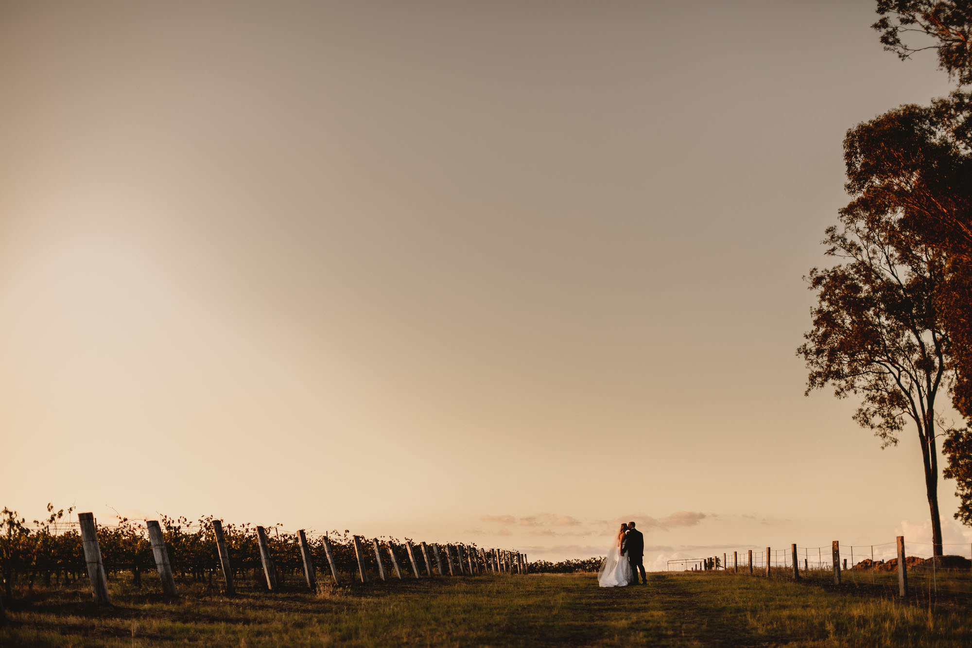 Enzo weddings Hunter Valley