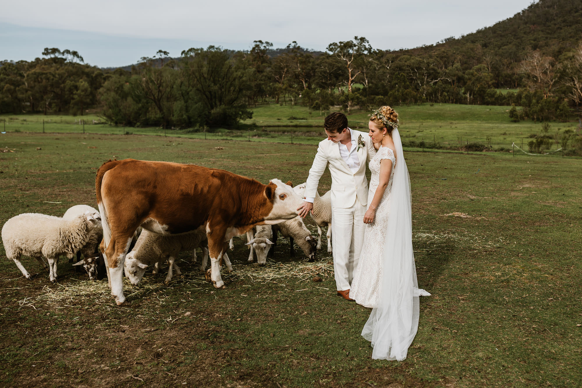 Collits Inn Wedding Photos